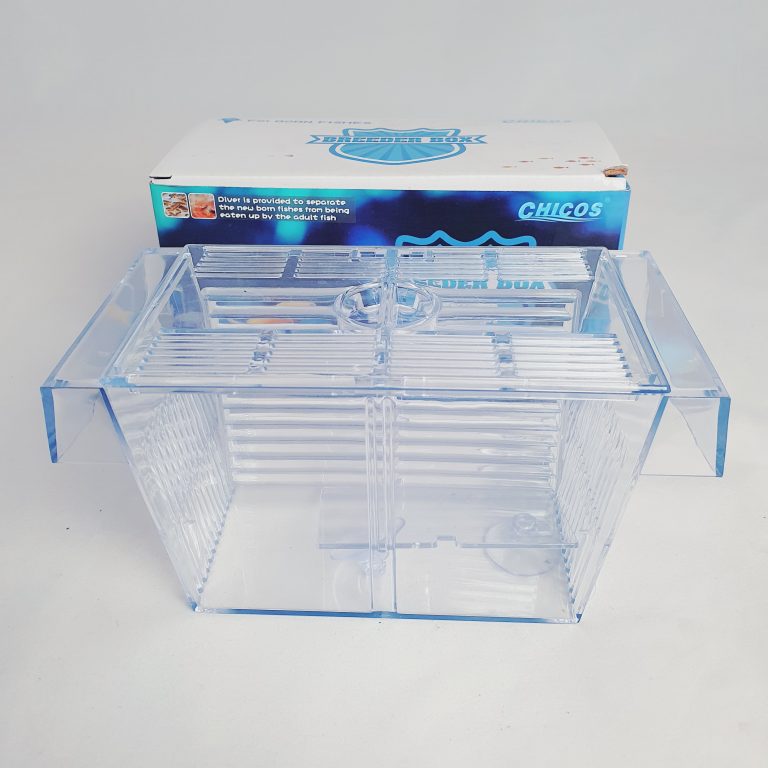 Chicos Breeding Box