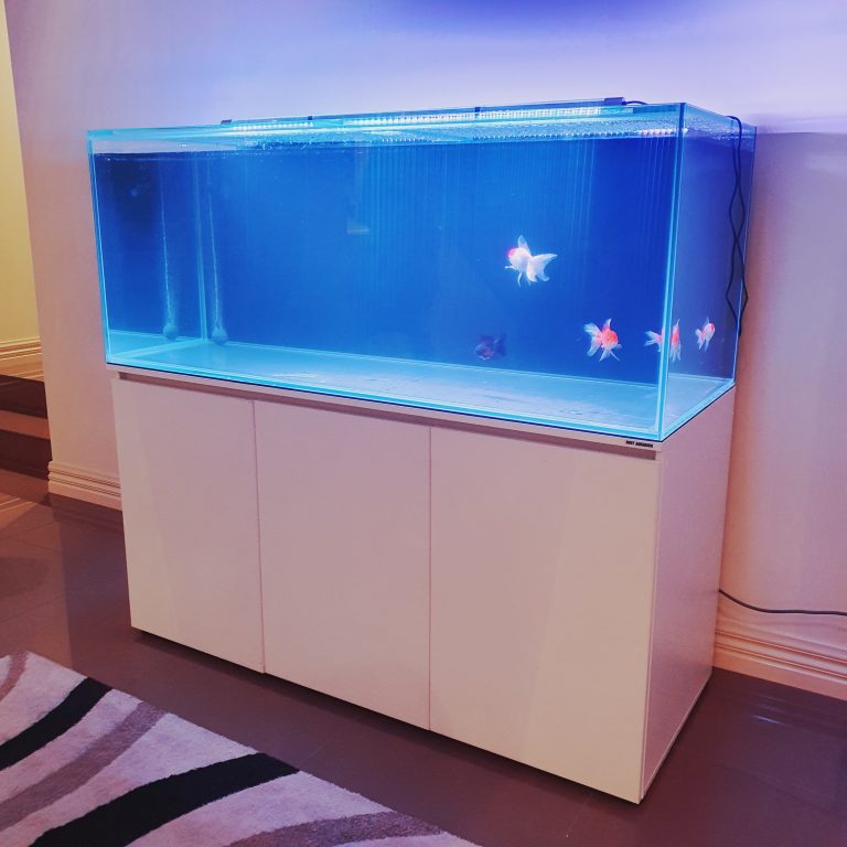 Aquarium Cabinet & Hood Set 5ft