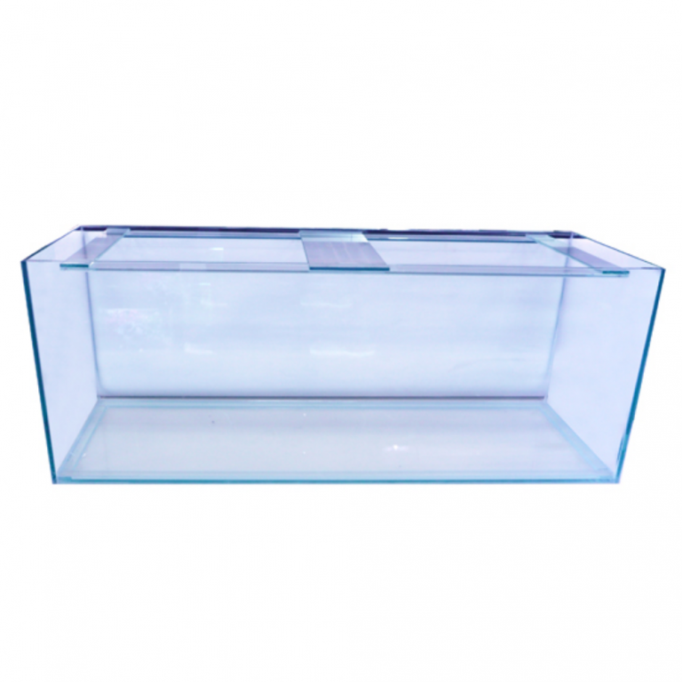 Aquarium Fish Tank