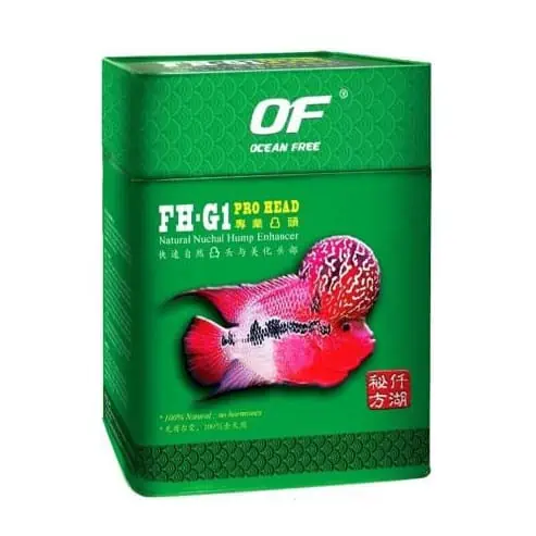 ocean-free-FH-G1-pro-head