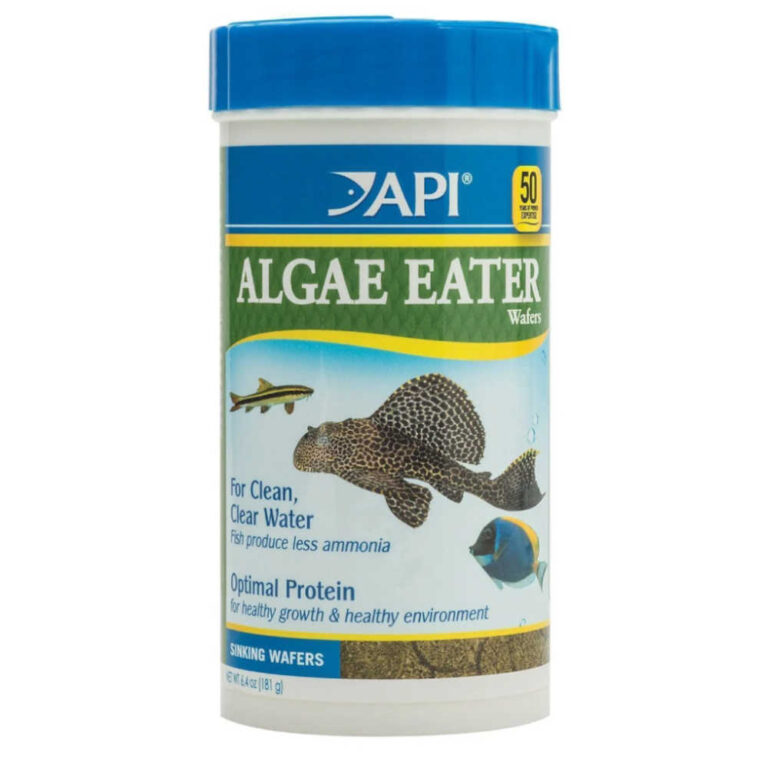 api-algae-eater-wafers-181g