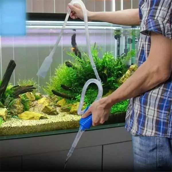 Aquarium Cleaning and Maintenance