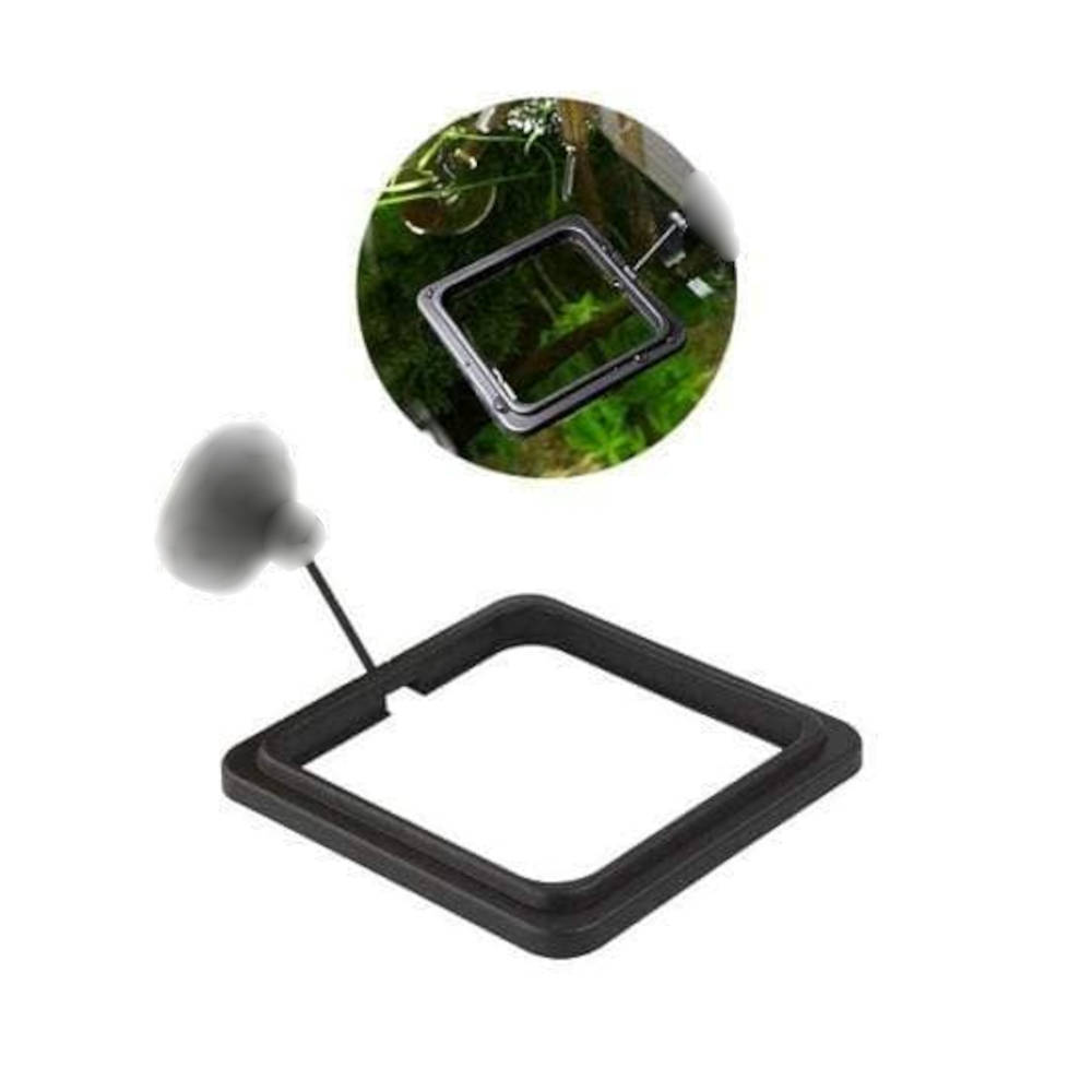 Fish Feeder Ring Roxy Aquarium