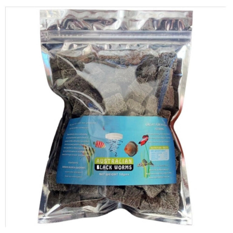 australian-blackworm