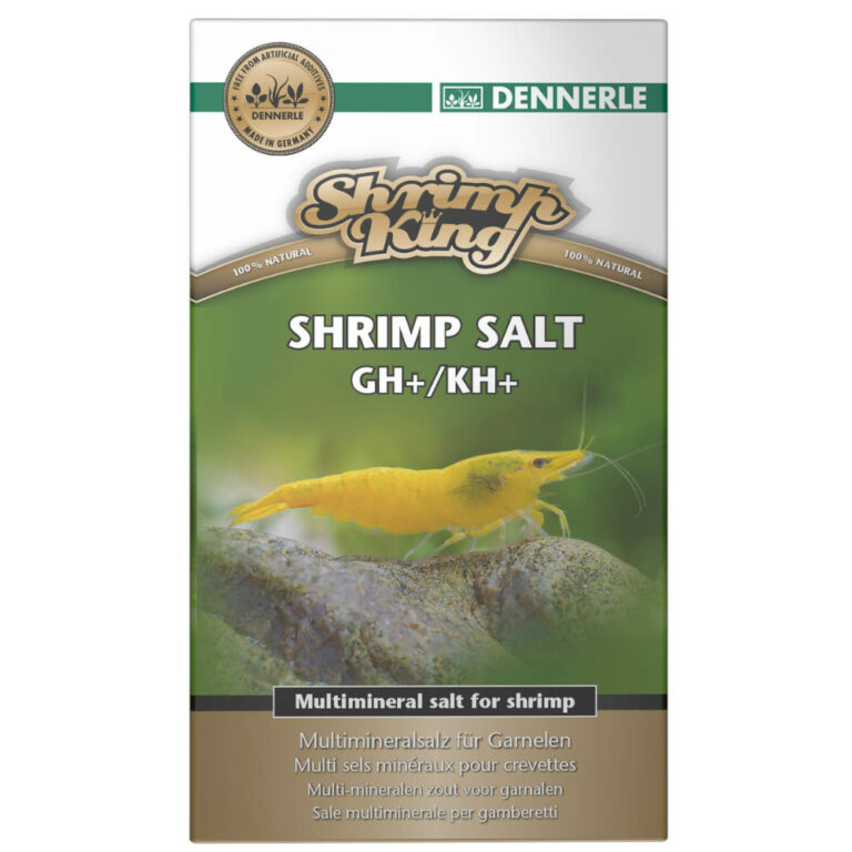 shrimp-king-salt-gh-kh