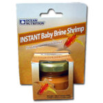 instant-baby-brine-shrimps