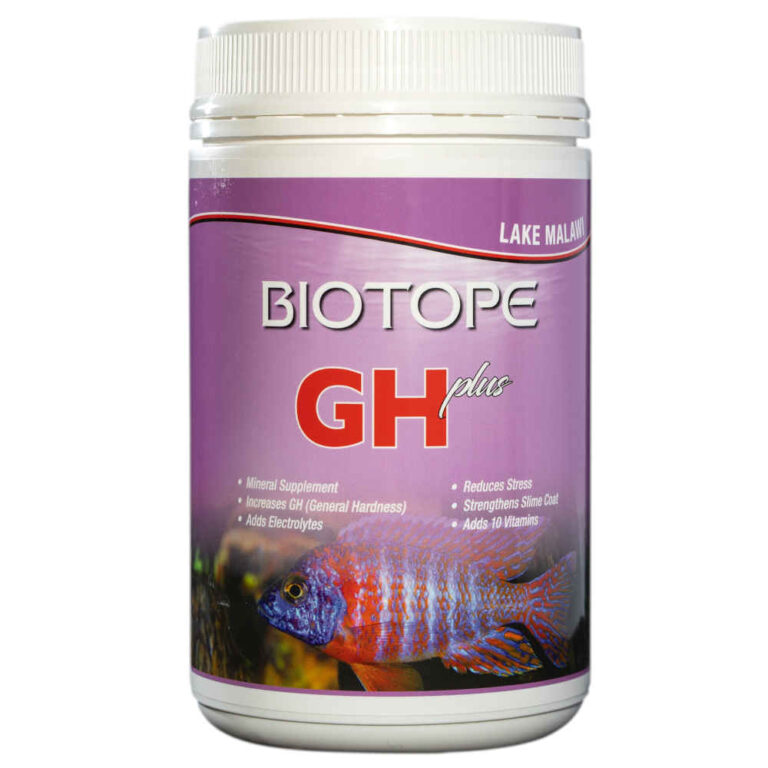 Biotope-GH-plus-Lake-Malawi