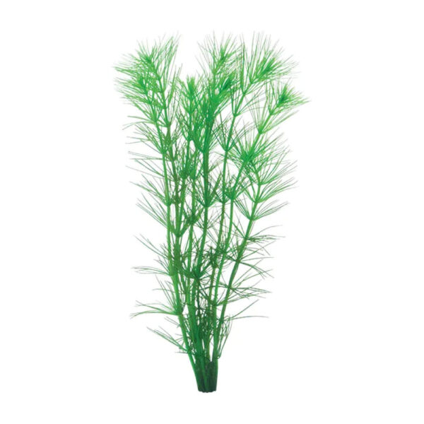 Pine-Needle-Hydrotriche