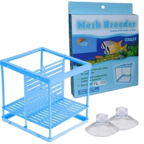 Chicos Mesh Breeder