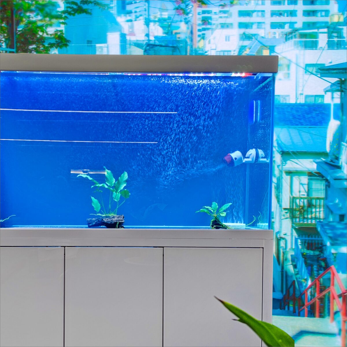 150cm x 40cm x 85cm Ultra Clear Glass Aquarium Flat Door Sump Setup Package - Image 4