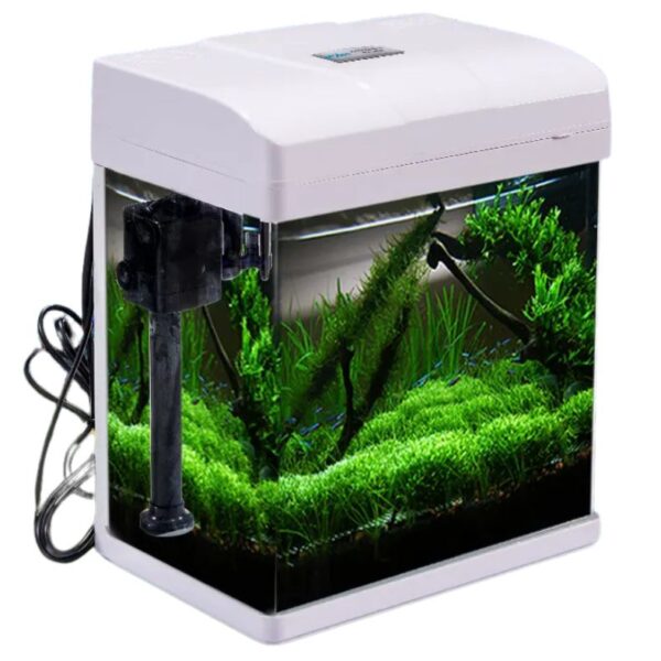 Curved Glass Tank Light+Filter