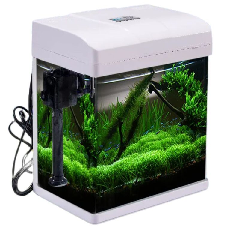 Curved Glass Tank Light+Filter