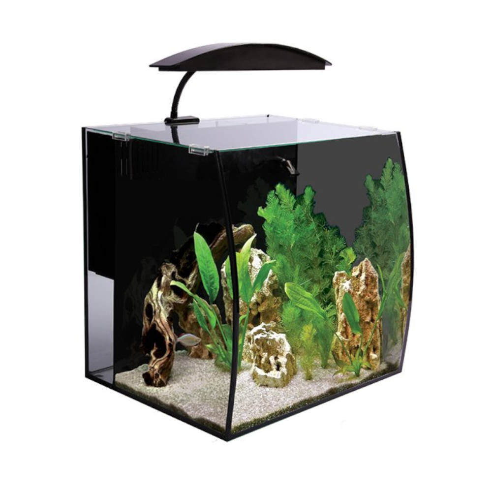 Arc 30 Glass Aquarium 40L X 32.5D X 28H - Roxy Aquarium