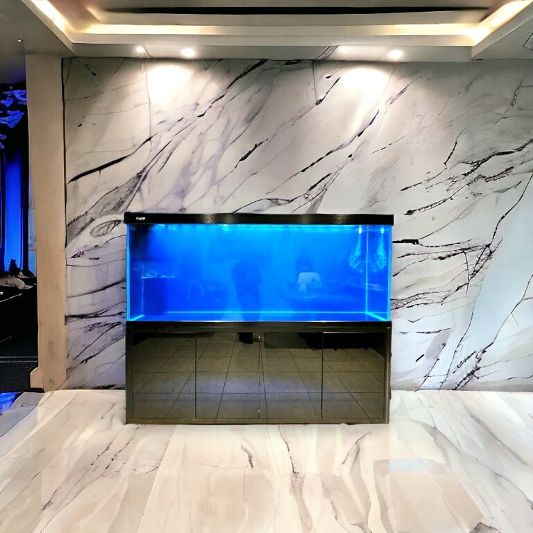 Ultra Clear Glass Aquarium Flatdoor Sump Setup