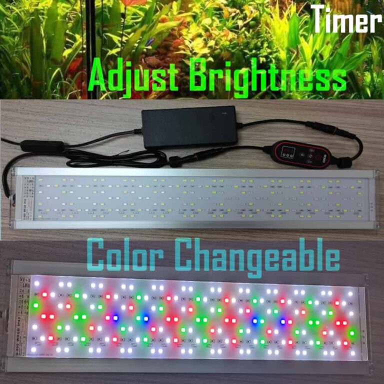 Full Spectrum LED Light