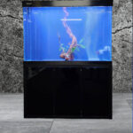 Aquarium Sump Setup Package