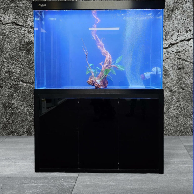 Aquarium Sump Setup