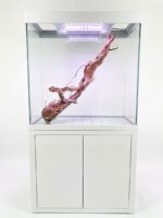 80cm x 40cm x 85cm Aquarium Sump Setup Package - Image 2