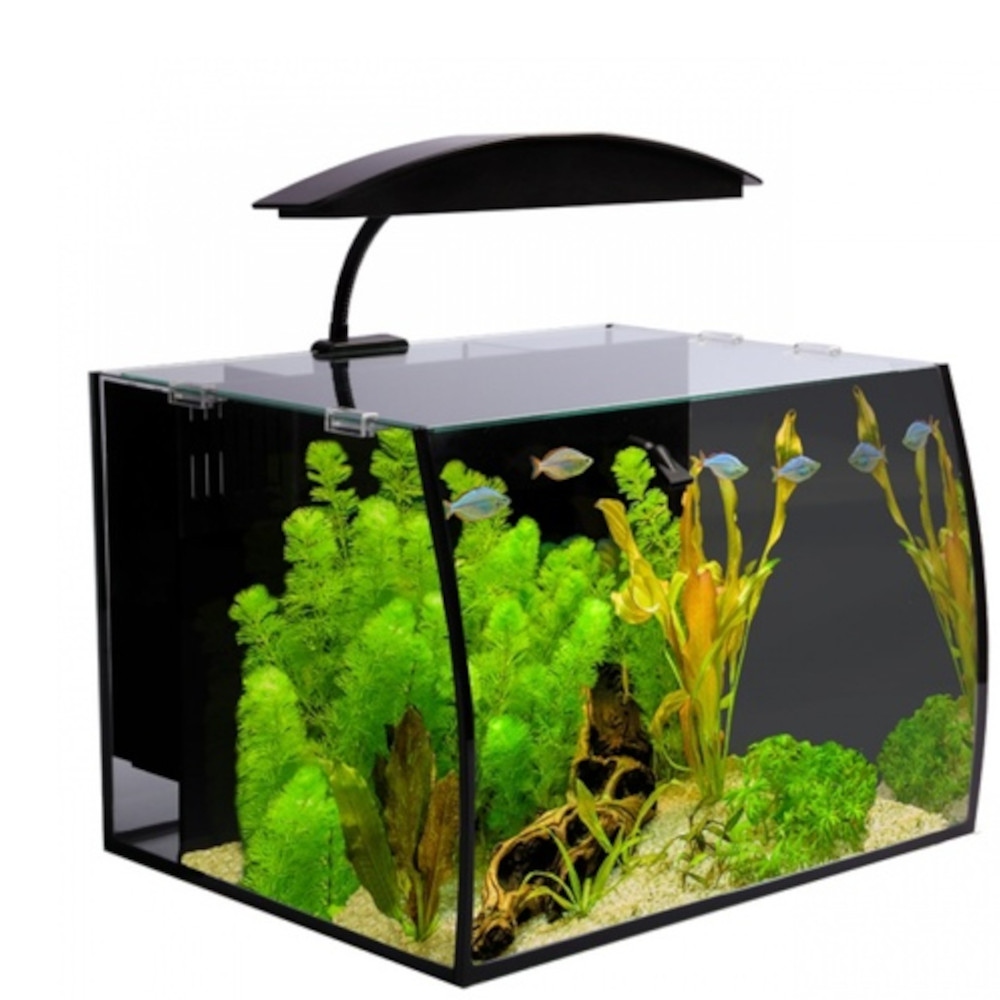 Arc 30 Glass Aquarium 40L X 32.5D X 28H Roxy Aquarium