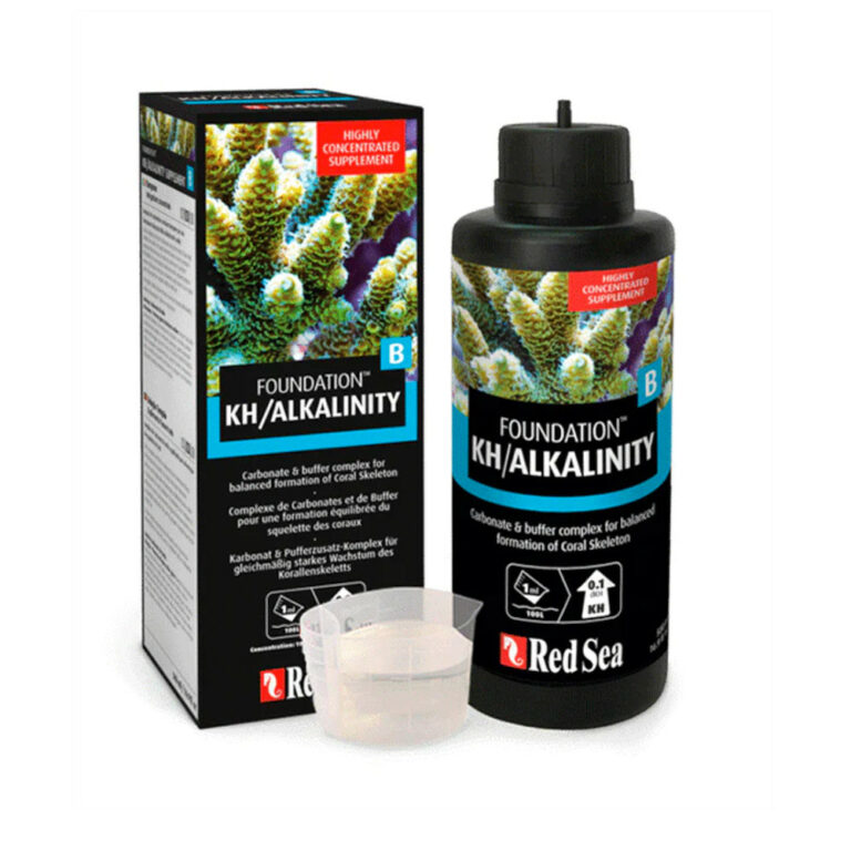 red-sea-kh-foundation-b
