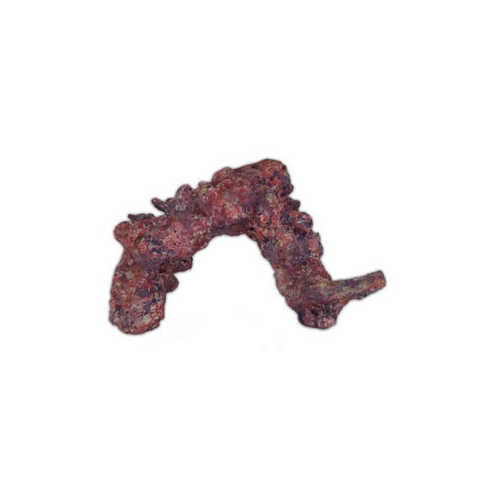 reef-arches Reef Arches - Image 1