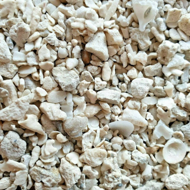 Crushed Corals