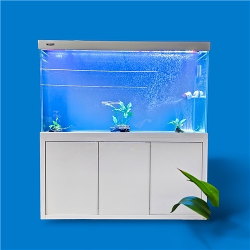 Ultra Clear Glass Aquarium Flat Door Sump Setup Package