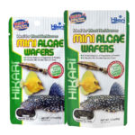 hikari-mini-algae-wafers