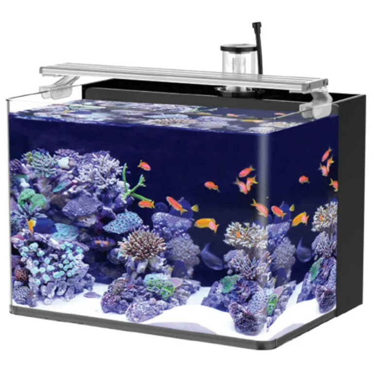 Tara-Nano-Marine-Setup