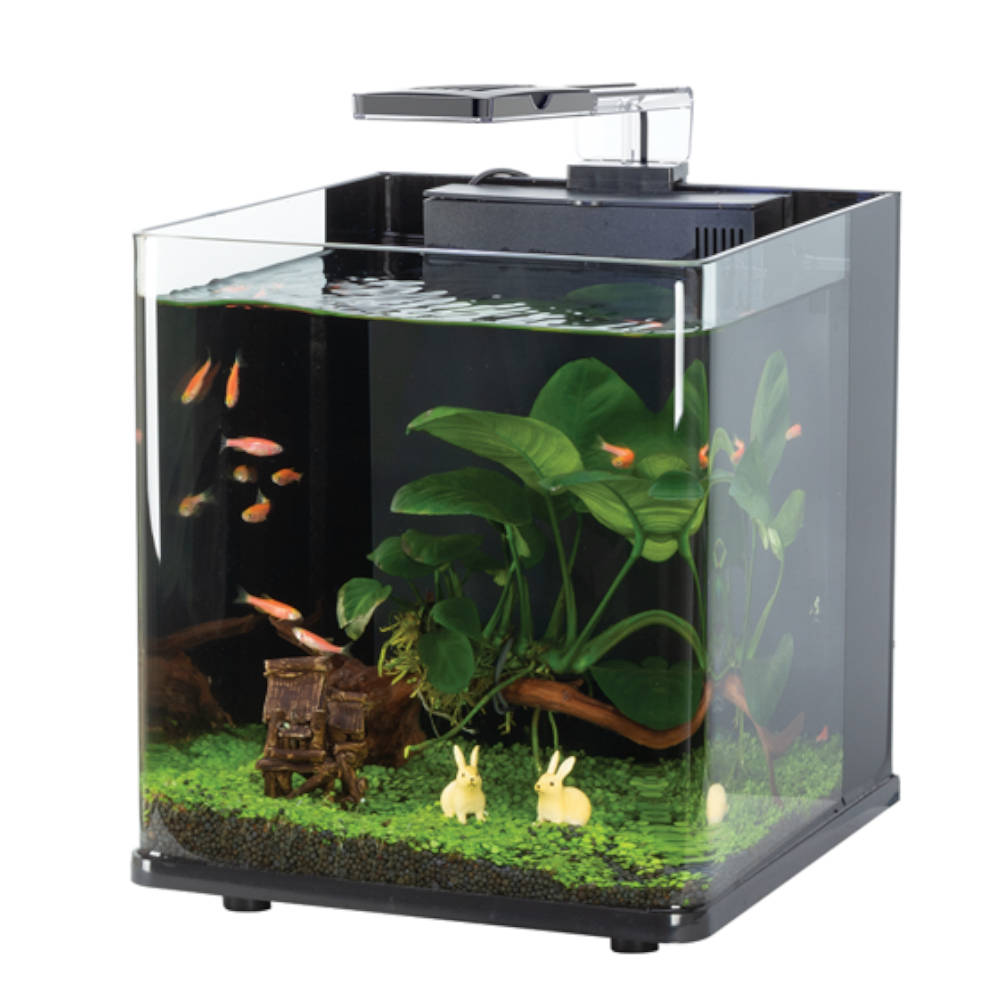 Tara Nano 15L Aquascape