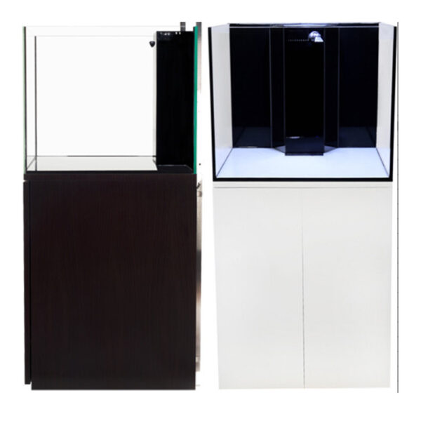 Tara Coralux Marine Series