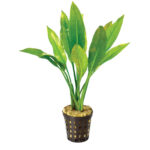amazon-sword-pot
