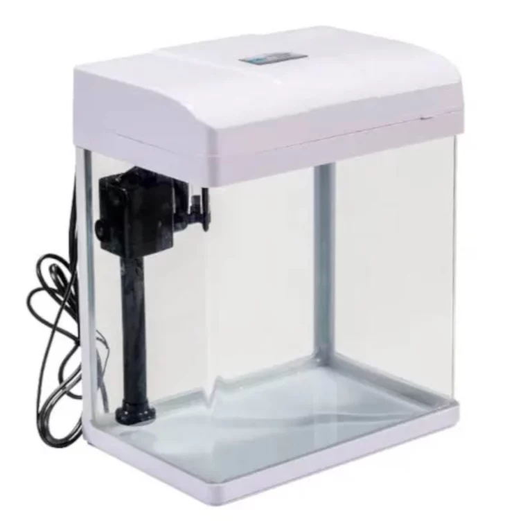 Small rectangular glass fish tank with a white plastic hood and built-in filter on the left side; power cord visible behind.