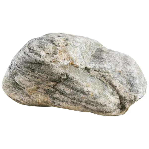 Tarzan Rock