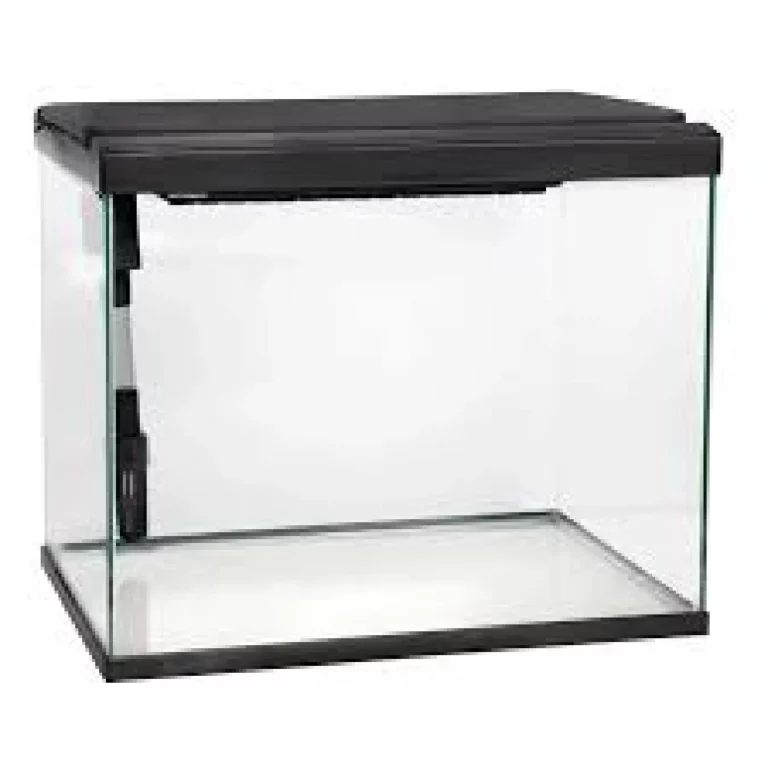 Empty rectangular glass aquarium with a black lid and base, suitable for fish or aquatic plants
