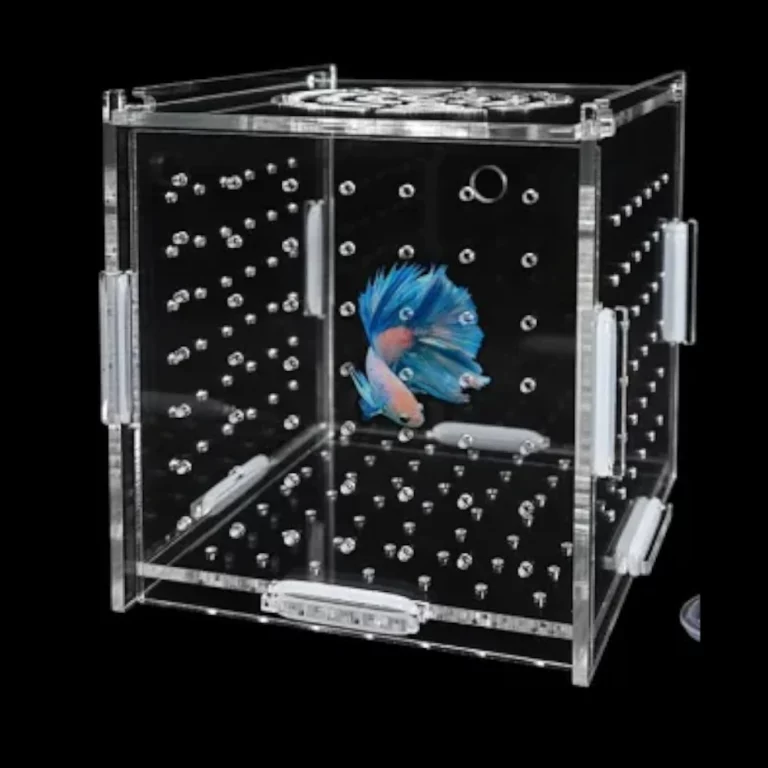 Clear cube-shaped glass aquarium with a blue and white betta fish swimming among many bubbles against a black background.