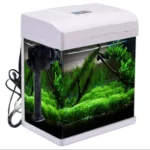 Compact desk aquarium with a white hood and built-in filtration, filled with lush green aquatic plants.