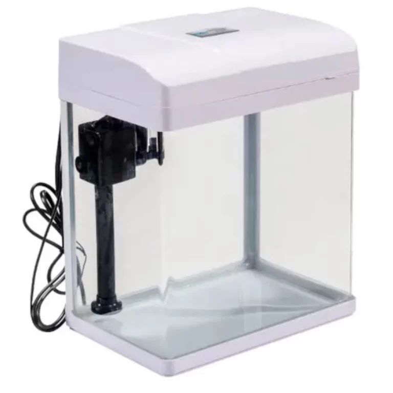 Small rectangular desktop aquarium with clear glass and an internal filter on the left. The white lid sits on top, with a power cord visible at the back left.