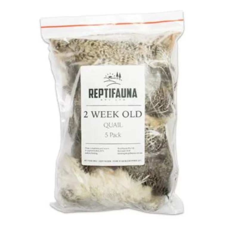 Clear resealable bag of reptile food labeled 'REPTIFAUNA 2 WEEK OLD QUAIL 5 Pack' containing small quail prey.