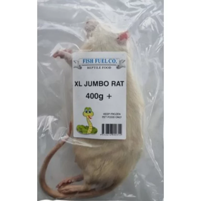 Beige rat inside a clear plastic bag labeled 'XL JUMBO RAT 400g+' for reptile food (Fish Fuel Co).