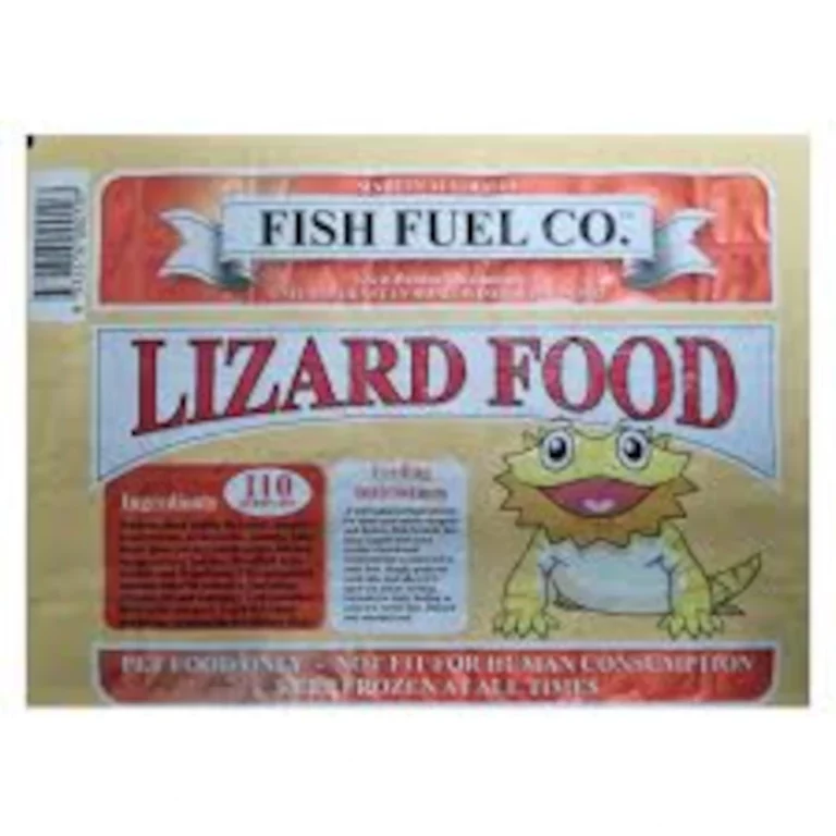 Front of a product box labeled LIZARD FOOD from Fish Fuel Co., with a cartoon yellow lizard illustration.