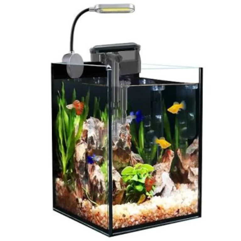 Small glass freshwater nano tank with rocks, plants, white gravel, colorful fish, and a curved LED light overhead.