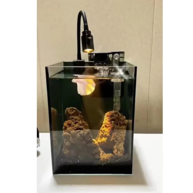 Small glass terrarium/aquarium with rocky substrate and a mounted light fixture above the water surface.