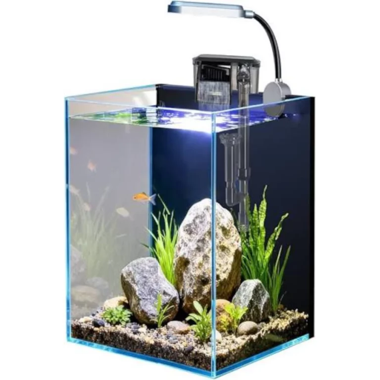 Small desktop glass aquarium with rocks, plants, and a top-mounted filter/LED light fixture at the back.