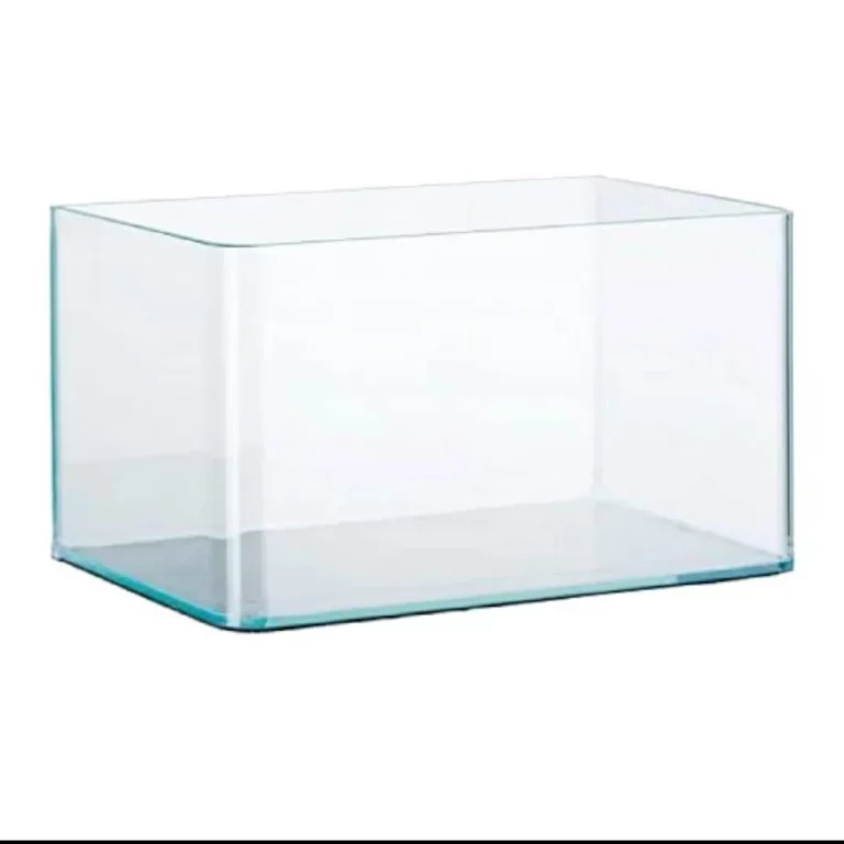 Empty rectangular glass aquarium tank on white background