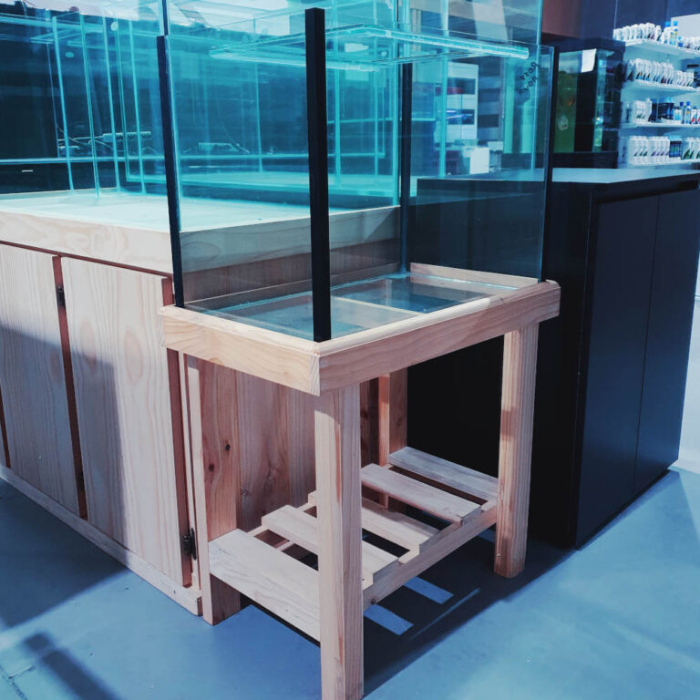 Glass display aquarium on a light wooden stand in a retail setting, empty and ready for setup.