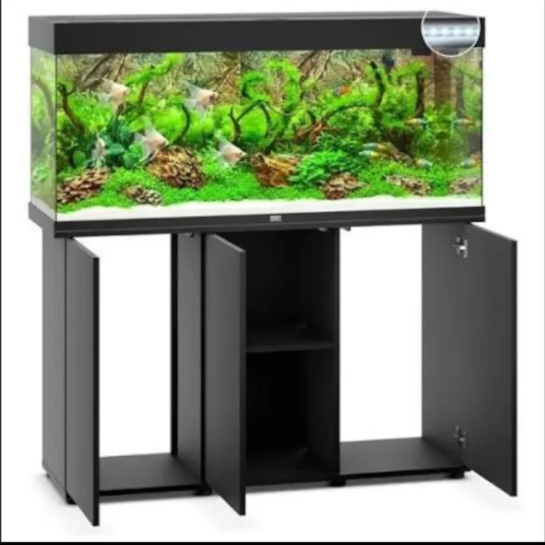 Large glass aquarium on a black cabinet stand with doors open, revealing shelves inside and a lush green planted tank.