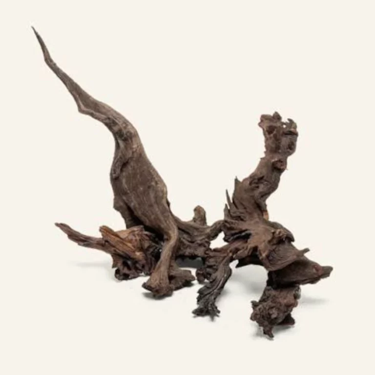 Dark brown twisted driftwood sculpture with gnarled branches on a light background