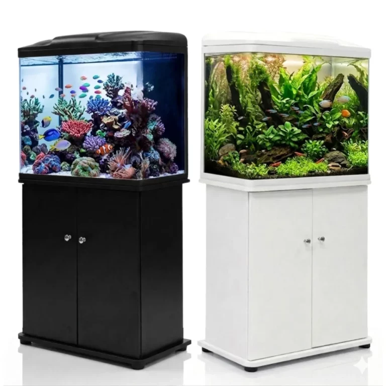 Two curved-top glass fish tanks on matching black and white cabinet stands placed side by side, filled with colorful fish and plants.